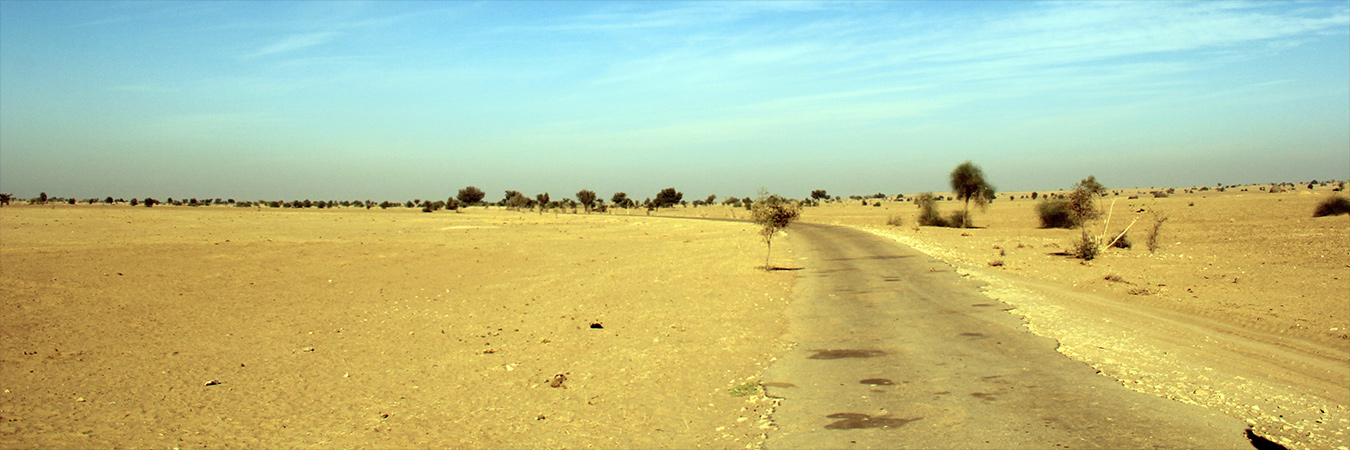 Desert track
