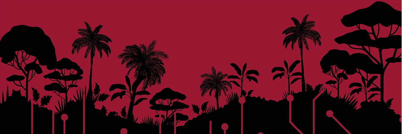 ICT development Pacific Islands - banner
