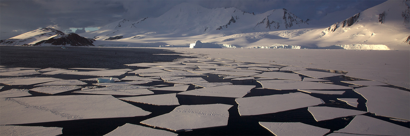 Ice Floe