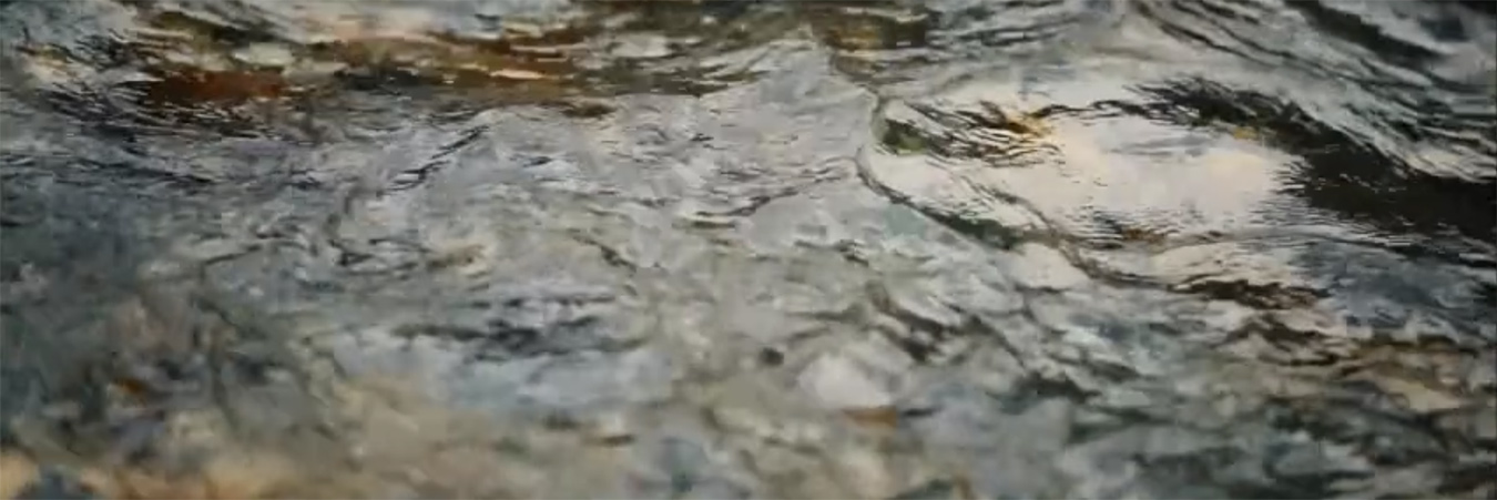 pqt01-CleanPipes_banner