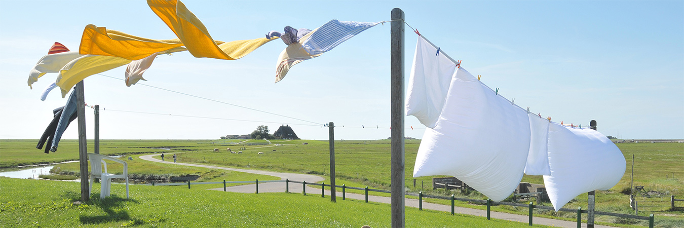 Washing on Line. via WikiMedia. https://commons.wikimedia.org/wiki/File:Hallig_Hooge,_Germany,_view_from_the_Backenswarft.jpg