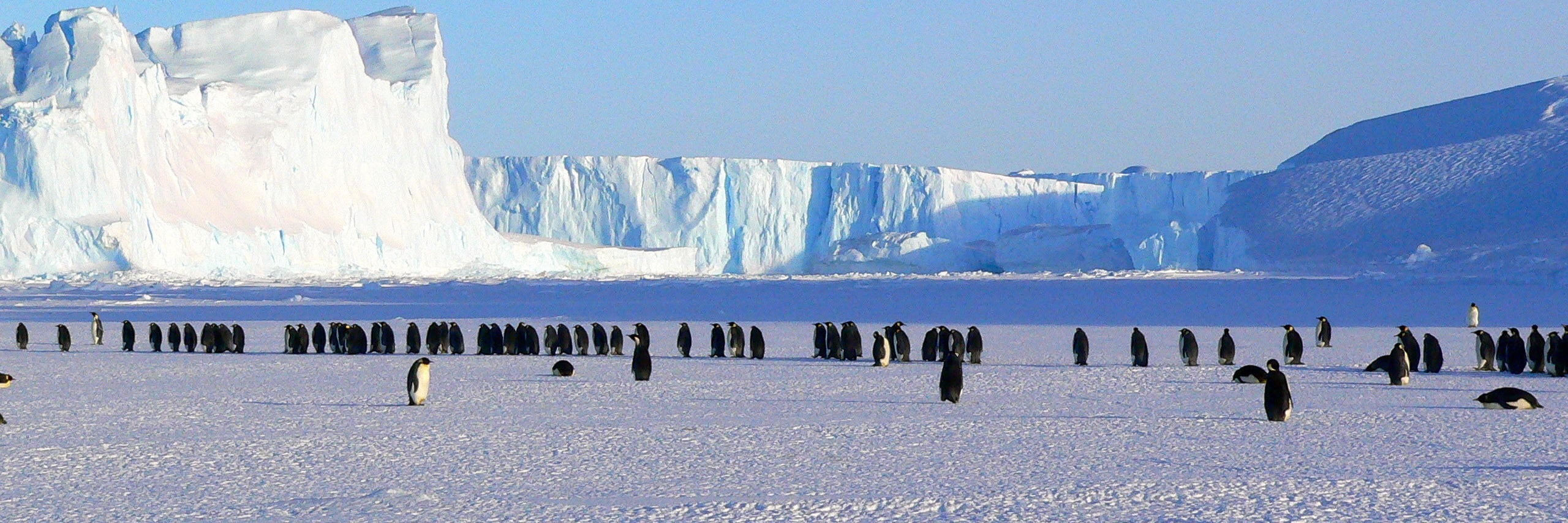 Antartica_20210513