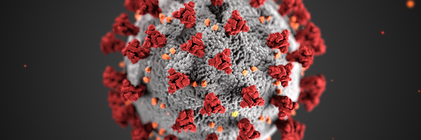 COVID-19_CDC_banner