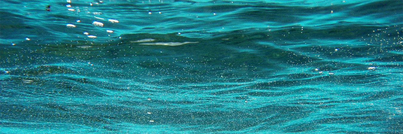 Underwater-banner