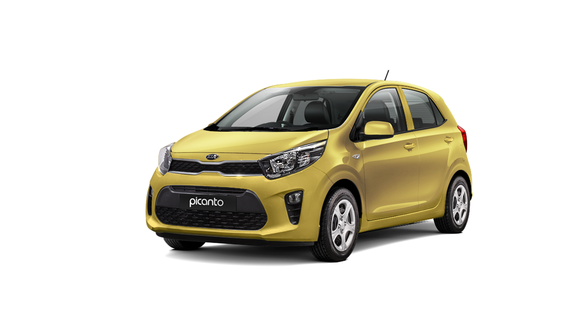 Kia-Picanto-honey-bee.png