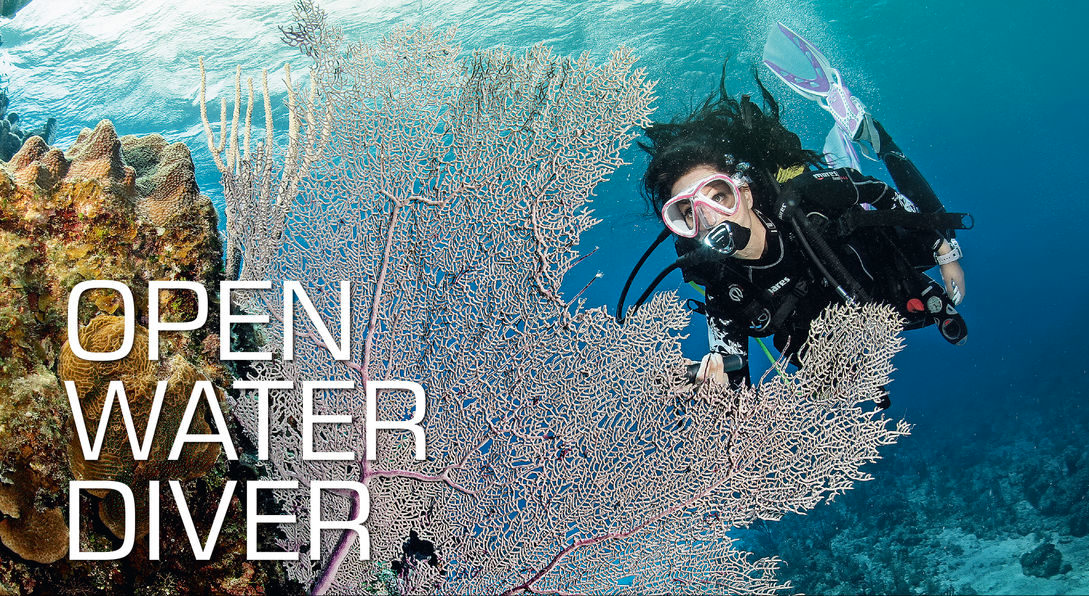SSI Open Water Diver Course