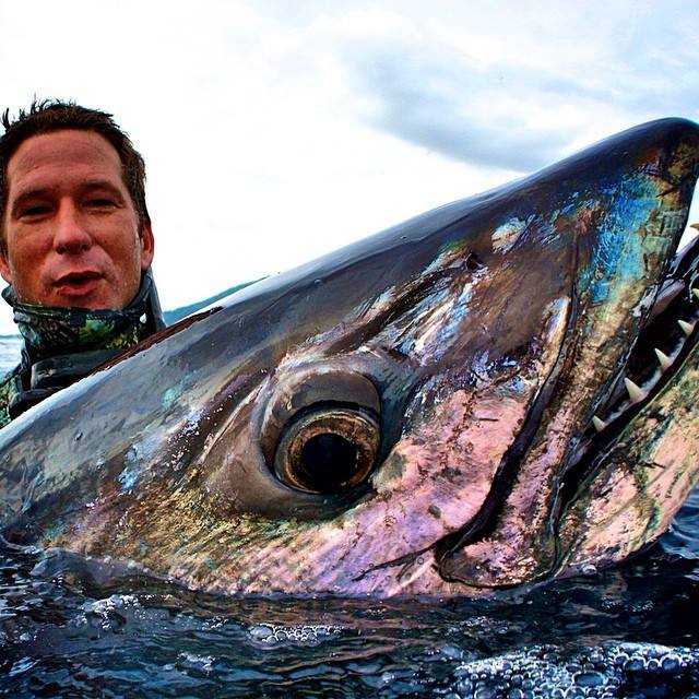 Cam with one of many giant Doggies! He has shot and landed some of the biggest in the world.