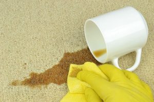 Carpet in Rental Property