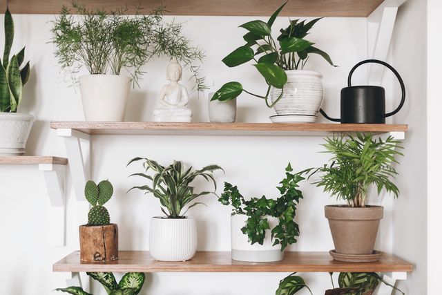 Rental Decorating Ideas