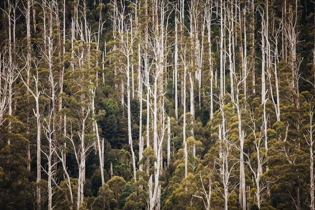 PUMPHOUSE POINT 17