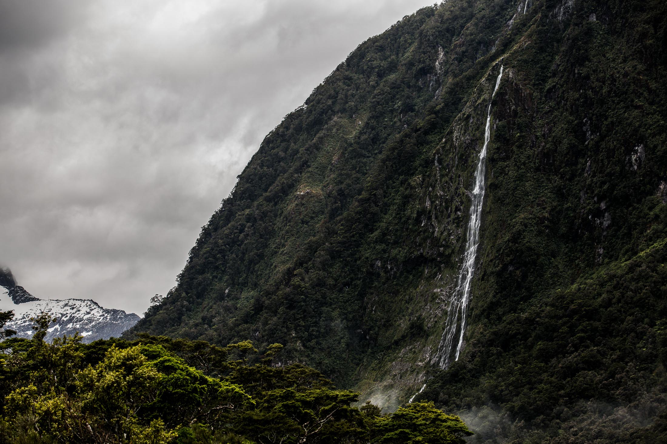 KATHMANDU NZ 7