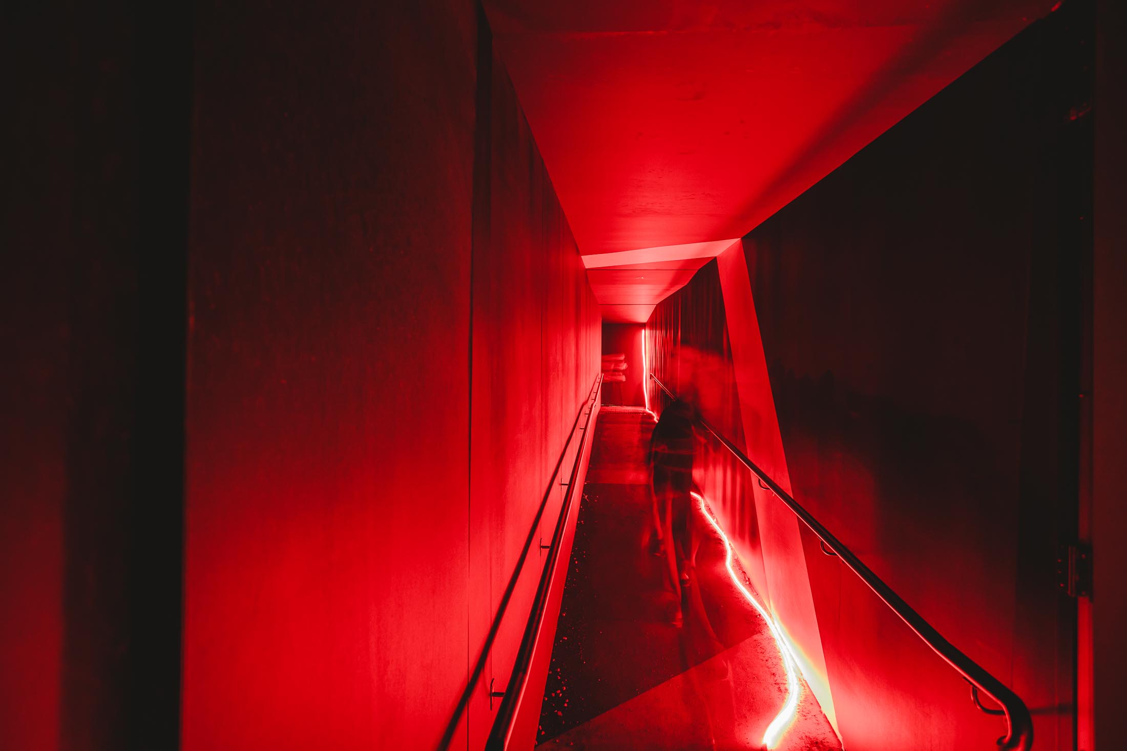 DARK MOFO 6