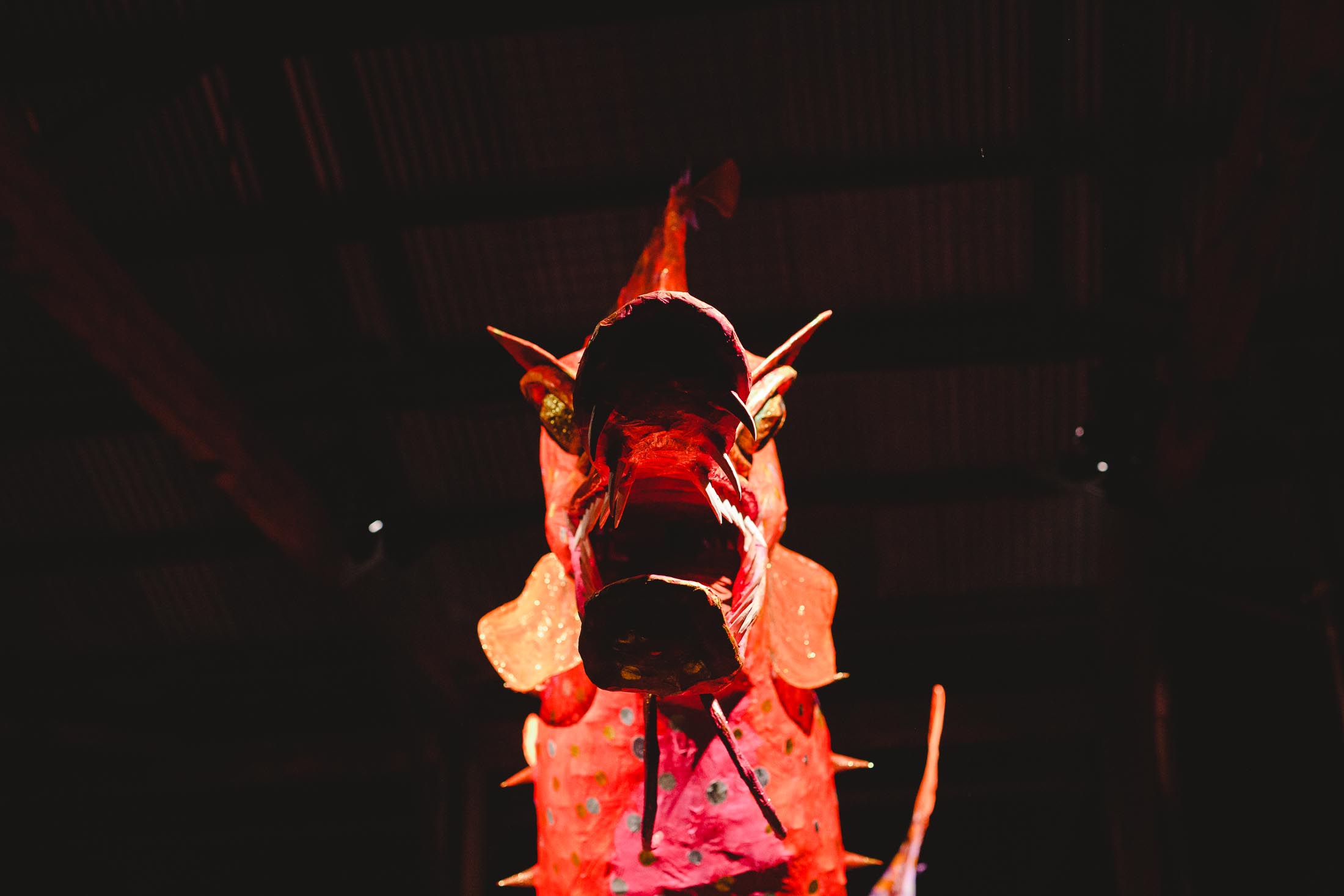 DARK MOFO 13