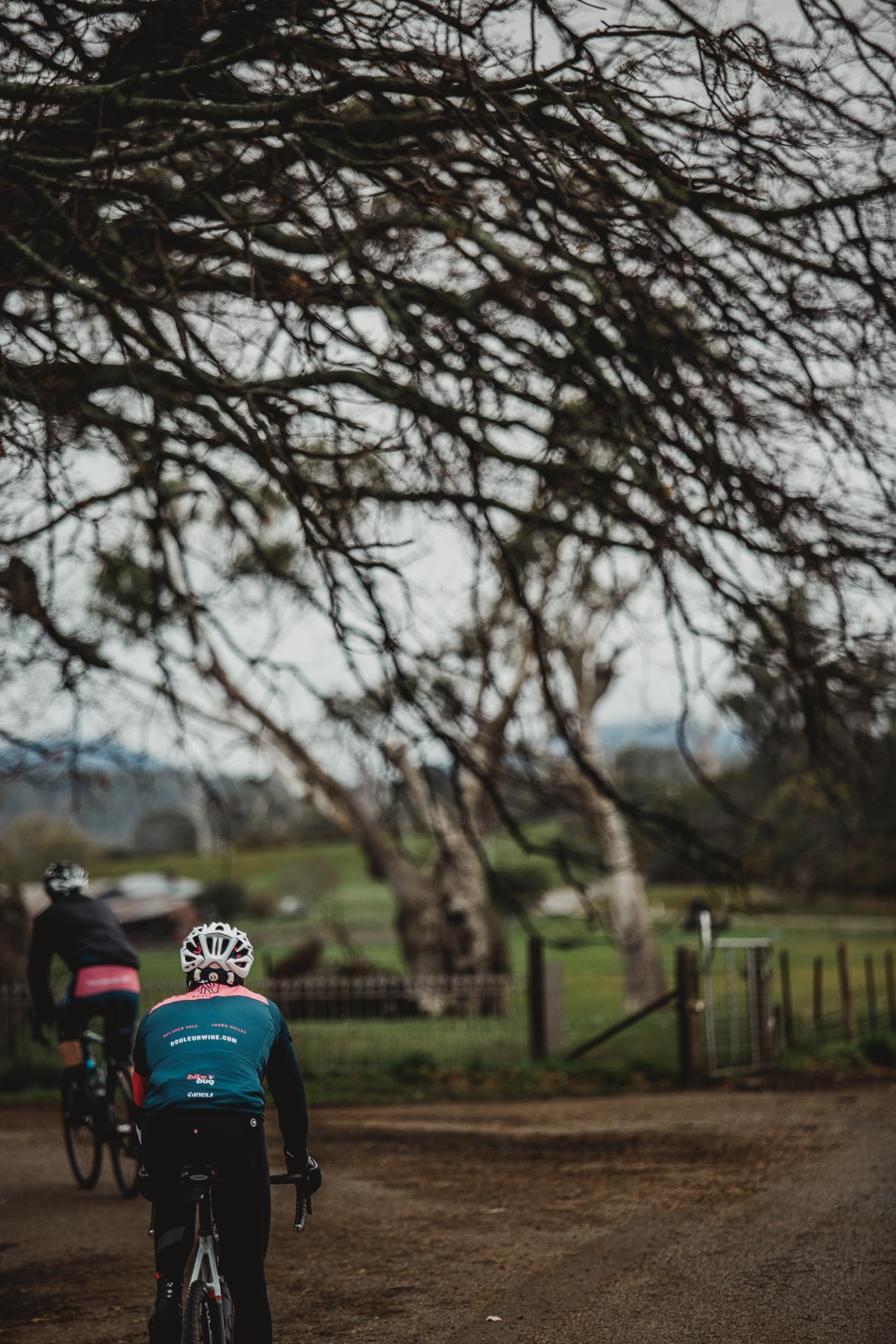 ROULEUR WINE CO 3