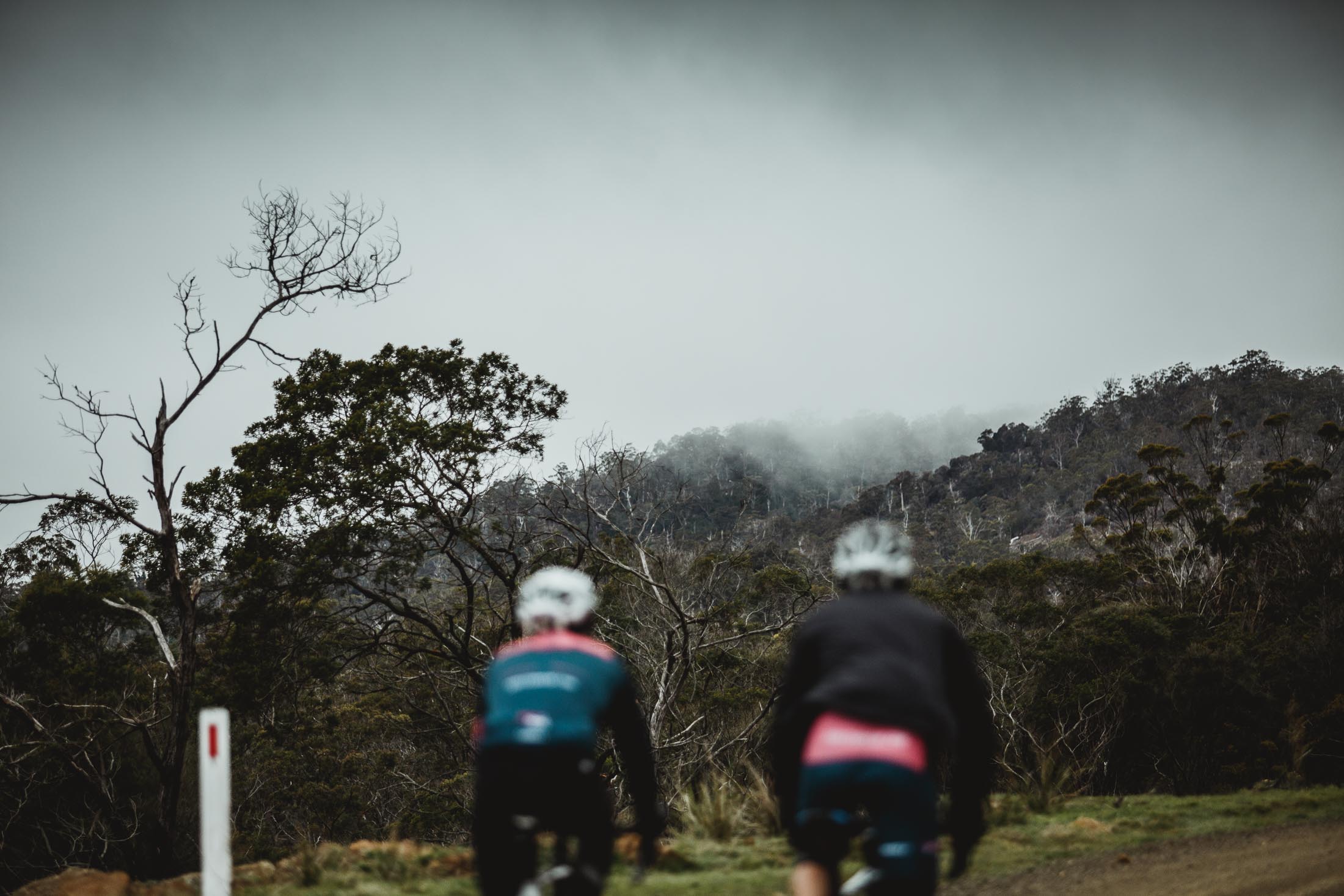 ROULEUR WINE CO 8