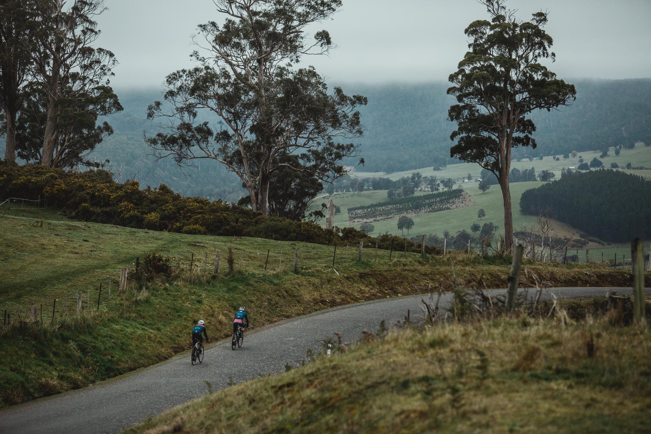 ROULEUR WINE CO 10