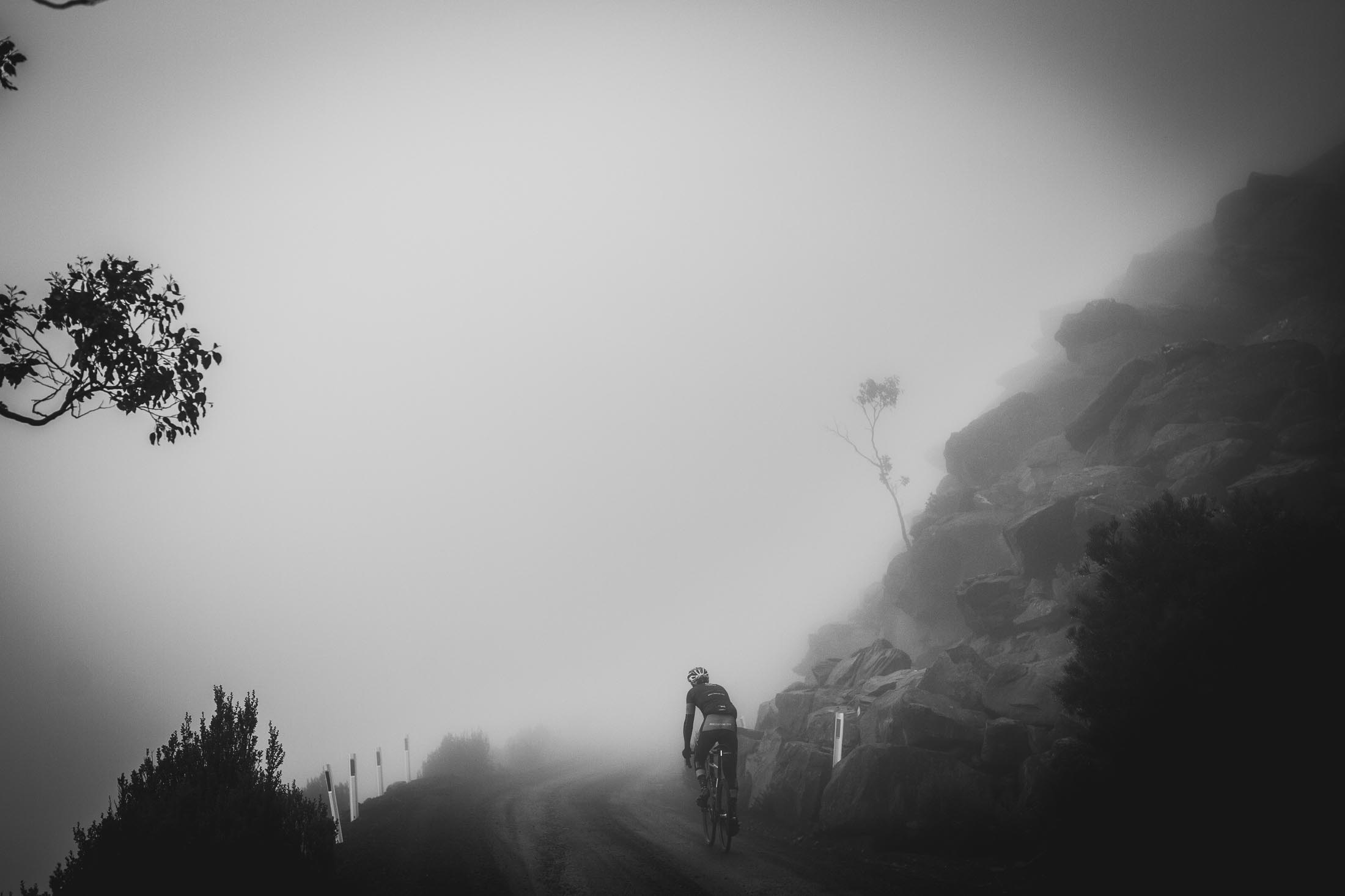 ROULEUR WINE CO 19