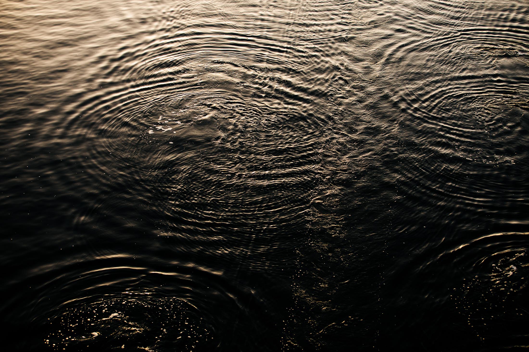 YARRA ONE 1