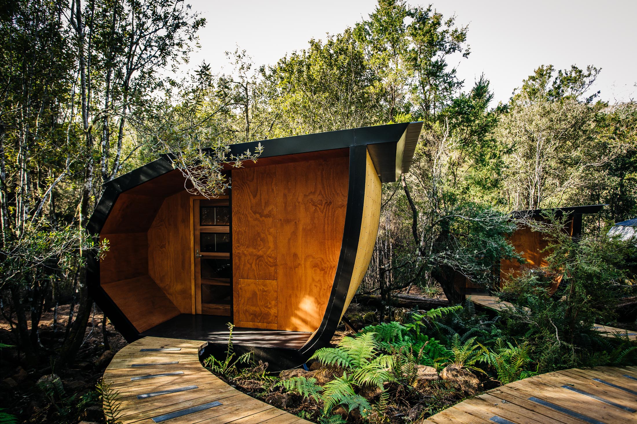 BLUE DERBY PODS RIDE 12