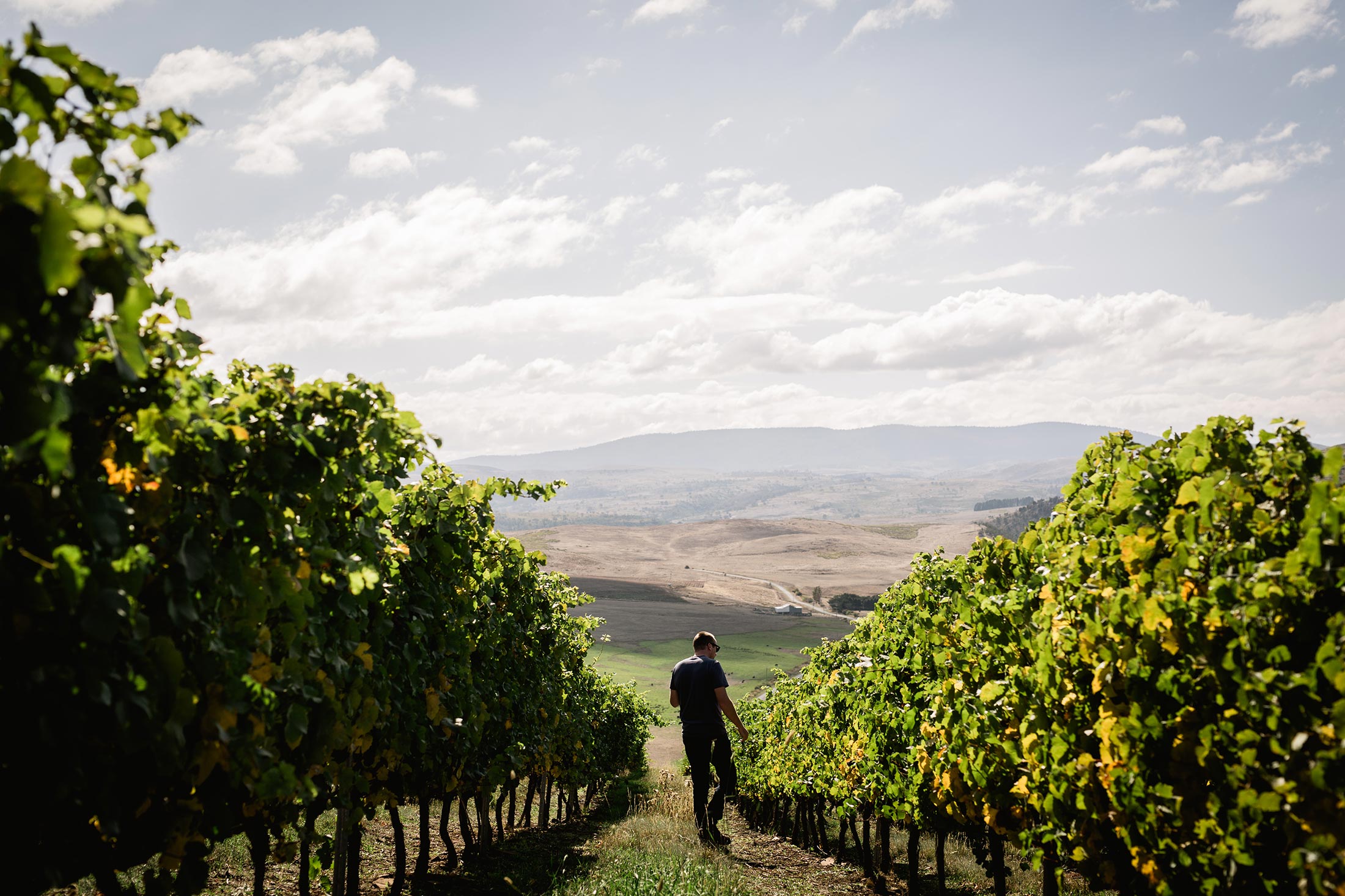 GLAETZER DIXON FAMILY WINEMAKERS 3