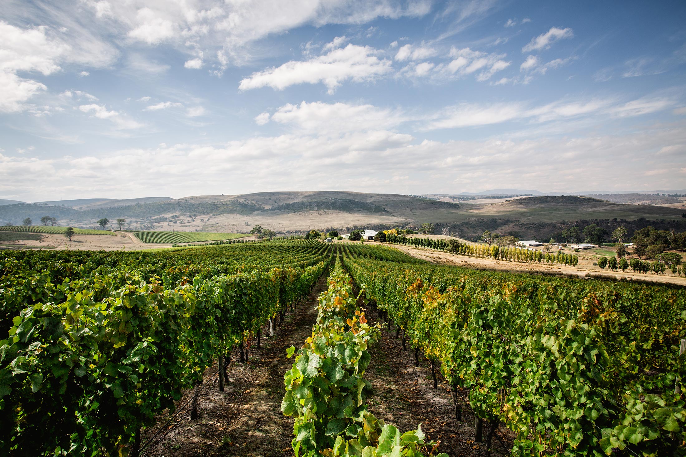 GLAETZER DIXON FAMILY WINEMAKERS 5
