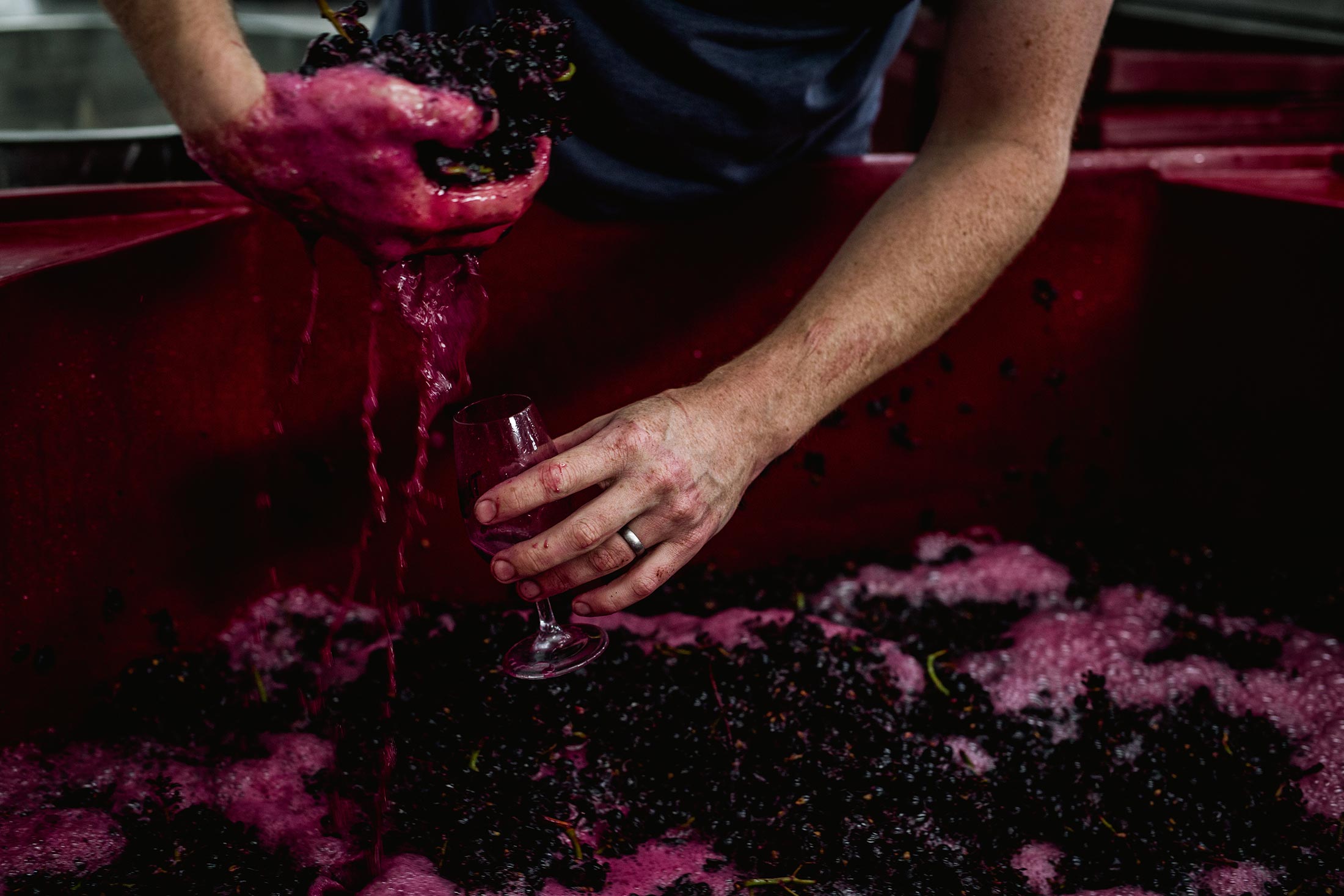 GLAETZER DIXON FAMILY WINEMAKERS 8