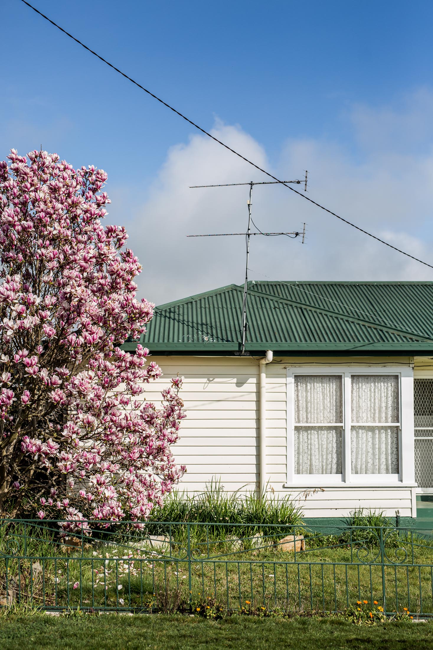MOLE CREEK 8
