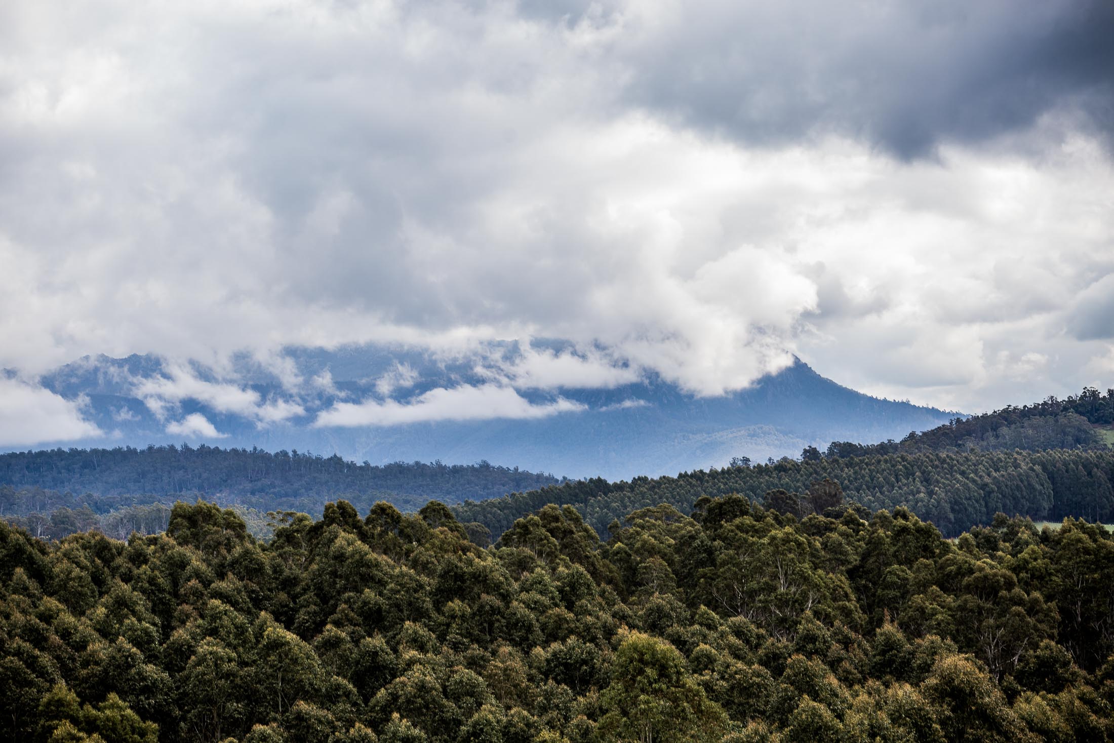 MOLE CREEK 11