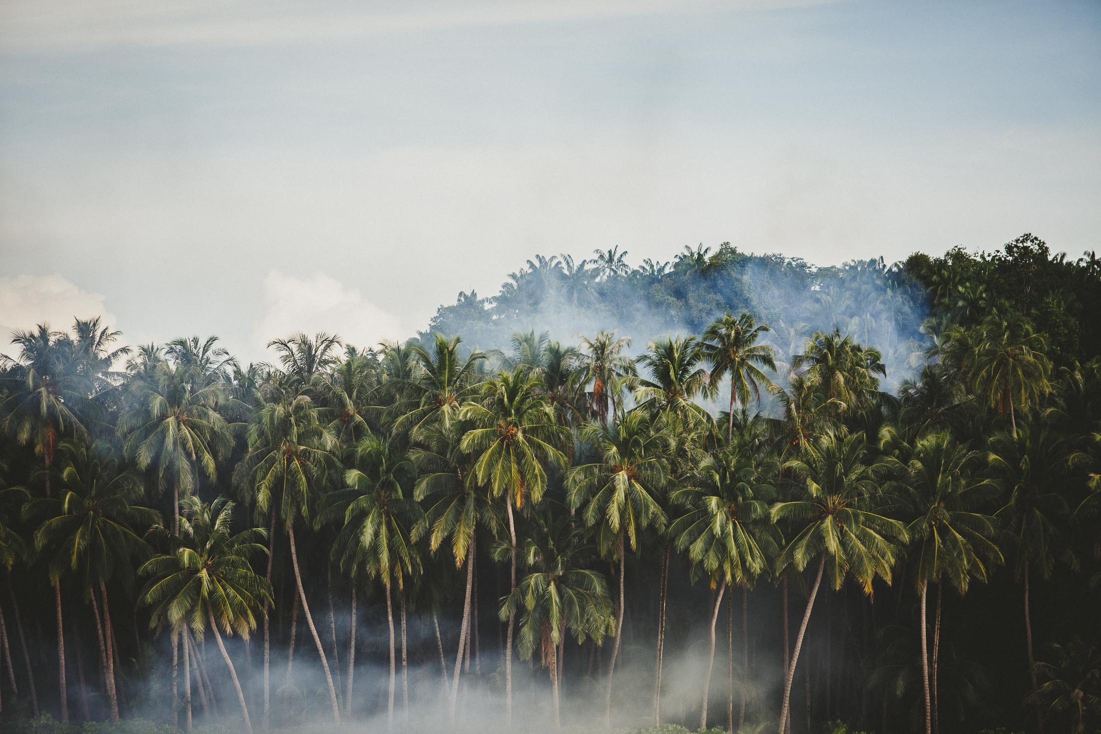 TELO ISLANDS 6