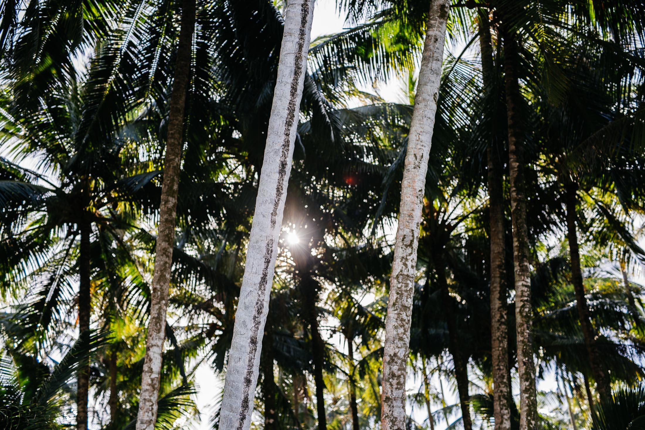 TELO ISLANDS 8