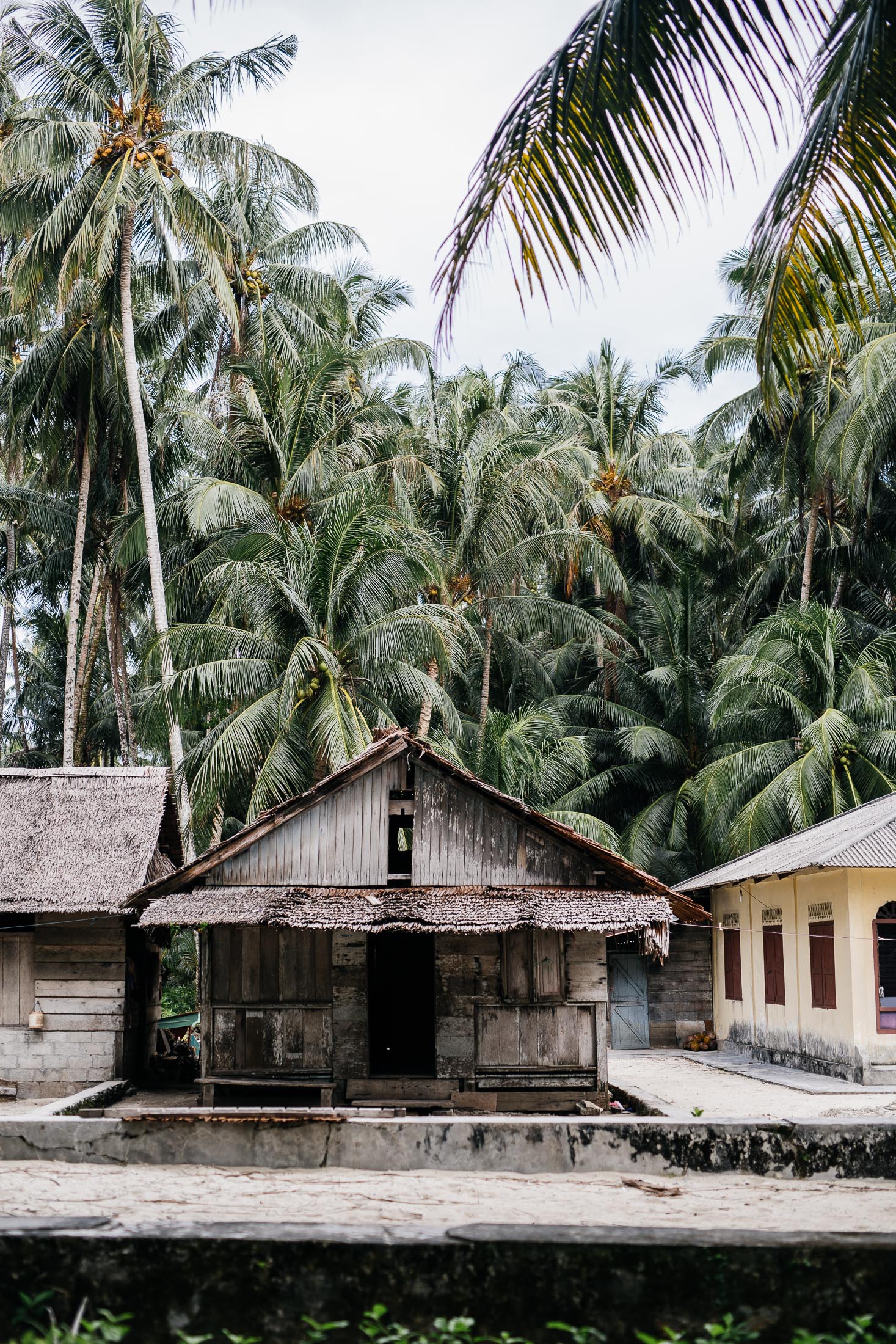 TELO ISLANDS 12