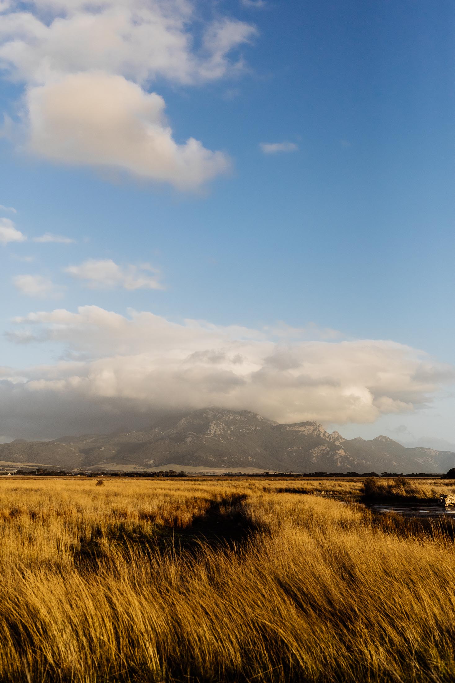 FLINDERS ISLAND 4