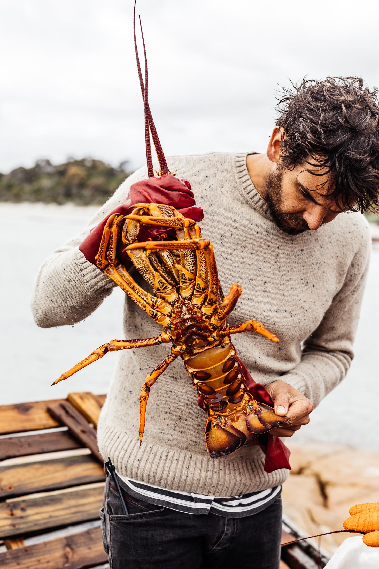 FLINDERS ISLAND 12