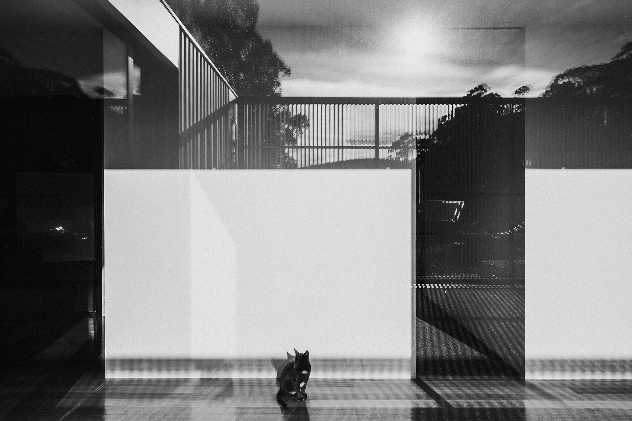 SOUTH HOBART RESIDENCE 5
