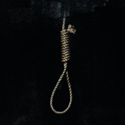 Too Late - Thamus - Internet Download