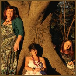 The Rough Diamonds - Bring It On