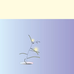 Culte - It's Too Cold to Be Spring