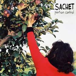 Sachet - Plastic Potato Peel