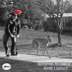 Reporting To Charlie - Maybe I Should - Internet Download