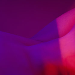 Vilde - Flash In The Pan