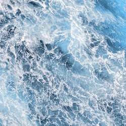 Sam Carmody - Sharks - Internet Download