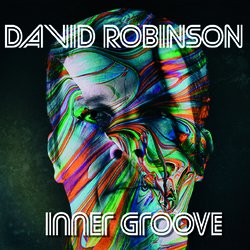David Robinson - I Never Noticed