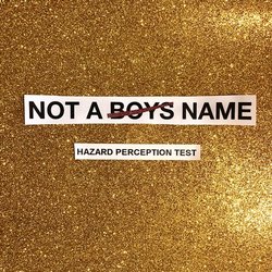 NOT A BOYS NAME - Hazard Perception Test