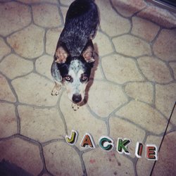 Eliza and the Delusionals - Jackie