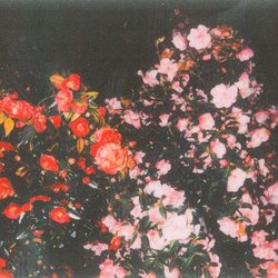 T Scarlett - Can't See