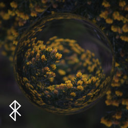 Ren - Laur