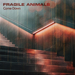 Fragile Animals - Come Down