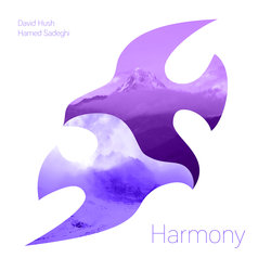 David Hush & Hamed Sadeghi - Yes
