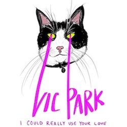 Vic Park - I Could Really Use Your Love