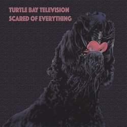 Turtle Bay Television - I Don't Need the Devil to Hate Myself